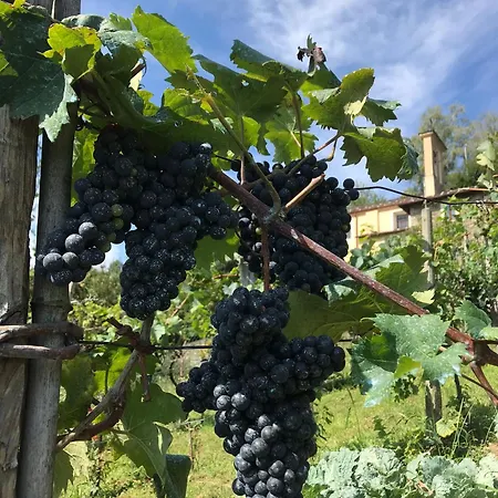 Casa Nonna Nina Hébergement de vacances