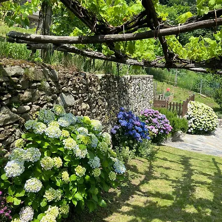 Hébergement de vacances Casa Nonna Nina